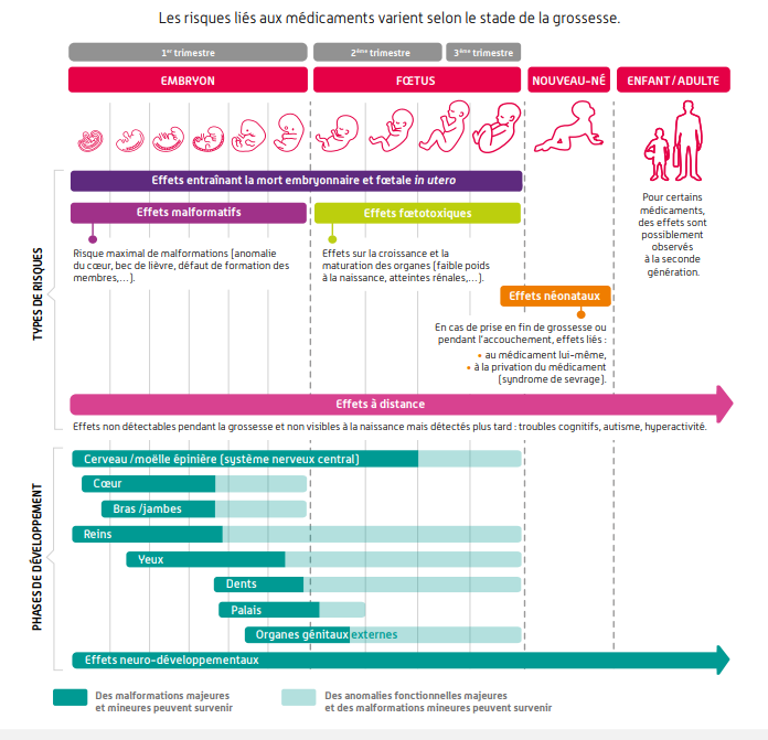 MÉDICAMENTS & GROSSESSE